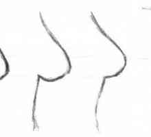 Размерът на женската гърда: как да го разбера?