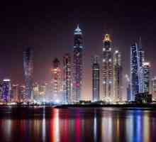 Забавление в Дубай: Обратна връзка
