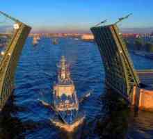 Мостовете на Санкт Петербург: Гренадиър мост