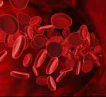 RBC: кръвен тест, препис, норма и стойност. Нормален брой на червените кръвни клетки (RBC) в кръвта