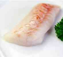 Рецептите на чиния в двойния котел. Подготовка на риба, месо и зеленчуци в двоен котел