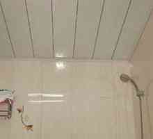 Рафт таван в банята - как да направите правилния избор?