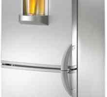 Оценка на хладилниците за качество и надеждност: прегледи и експертни съвети