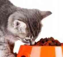 Оценка на фуража за котки: изберете лечение за домашни любимци