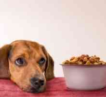 Оценка на храната за кучета. Оценка на суха храна за кучета