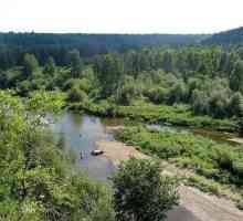 Iset River - рибна река с мирис на куче