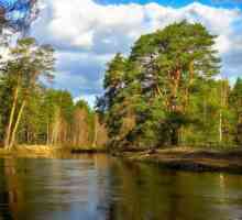 Река Nerskaya в предградията: описание, описание, снимка