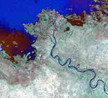Река Шари: описание и снимка