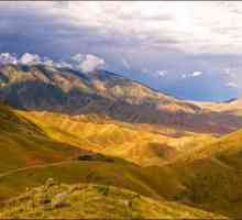 Република Казахстан: планини и тяхната флора и фауна