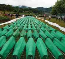 Масовото убийство в Сребреница през 1995 г .: причини
