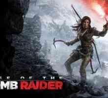 Възходът на Tomb Raider започва: възможни проблеми и елиминирането им