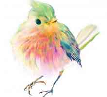 Рисуване на птици с акварел