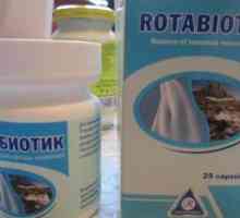 "Ротабиотик": инструкции за употреба, описание на лекарството, обратна връзка