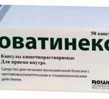"Rovatineks": инструкции за употреба, описание на лекарството, обратна връзка