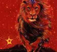 Роден на 22 август: знак на зодиака - Лъв.