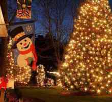 Коледа в САЩ: черти, традиции, култура