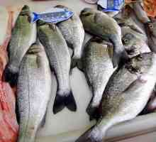 Dorado риба: полза и вреда, описание, рецепти за готвене