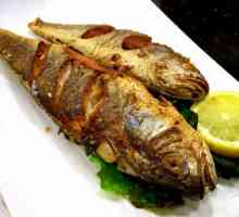 Риба на клада: рецепта за готвене. Рибата в фолио на клада