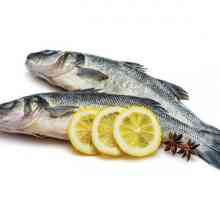 Морска риба: калории, полезни свойства, готвене и характеристики