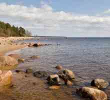 Риболов във Финския залив на язовир. Риболов през юни