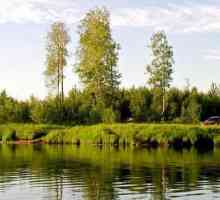 Риболов в Nefteyugansk: функции, снимки и отзиви