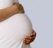 От каква седмица започва тримесечният период на бременността? Характеристики на периода, развитие…