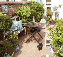 Покривна градина: как да подредите и какви растения да изберете