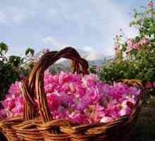 Най-красивата в света Долината на розите. България и нейните атракции