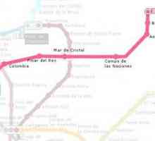 Най-необходимата и интересна информация за метрото в Мадрид
