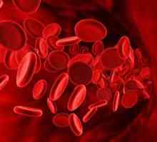 Най-редката група кръв е личностна характеристика