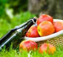 Домашно вино от ябълки: дълъг път до незабравими усещания