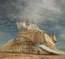 Най-интересното в изкуството: Тео Янсен и неговите кинетични скулптури