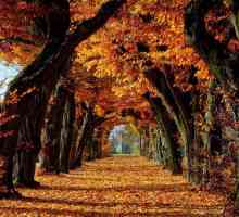 Най-интересните факти за есента