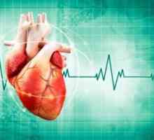 Най-ефективният лек за сърдечна аритмия: списък, прегледи
