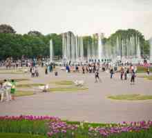 Най-красивите паркове в Москва