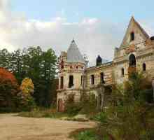 Най-красивите замъци в Русия (снимка)