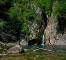 Най-популярните водни каскади в района Khosta на Сочи. Ореховски и Замейковски водопад