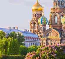 Санкт Петербург: галерии, които заслужават посещение. Снимки и ревюта на туристи