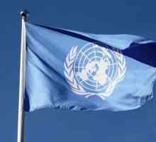 Секретариат на ООН: структура, състав, функции