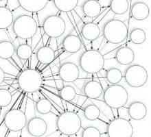 Семантична мрежа: определение, класификация и приложение