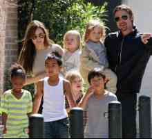 Сензацията: Анджелина Джоли подаде жалба за развод!