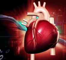 Сърдечни препарати: основни групи