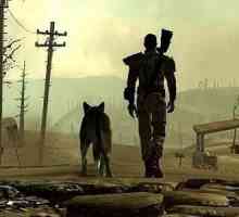 "Сребърно наметало" (Fallout 4): описание и преминаване