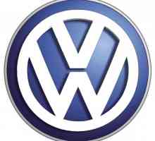 Сериозен представител на фолк колата на Volkswagen - AVILON