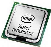 Сървър процесор Xeon E3 - 1270 ревизия V2. Характеристики, особености на употреба, актуалност за…