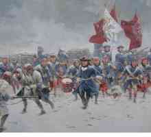 Северна война 1700-1721: важни събития, важни събития и актьори