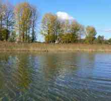 Езерото Shatskoy: местоположение и почивка