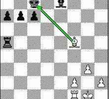 Проверка и шахматна шах. Какво е шахматът и как да поставите чек или шах?