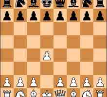 Условия на шаха и ролята им в живота на началните шахматисти