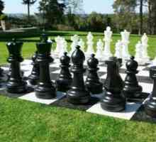 Шах: историята на появата и развитието на играта